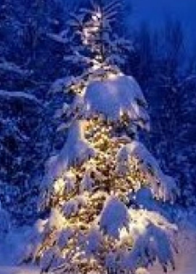 Как Дед Мороз на свет появился